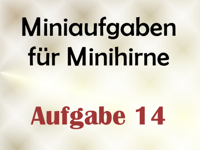 Miniaufgabe Fr Minihirne – Aufgabe 14