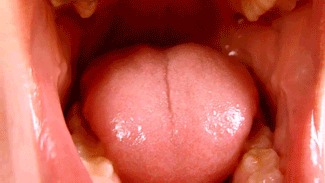 Inside Giantess Daisy’s Mouth